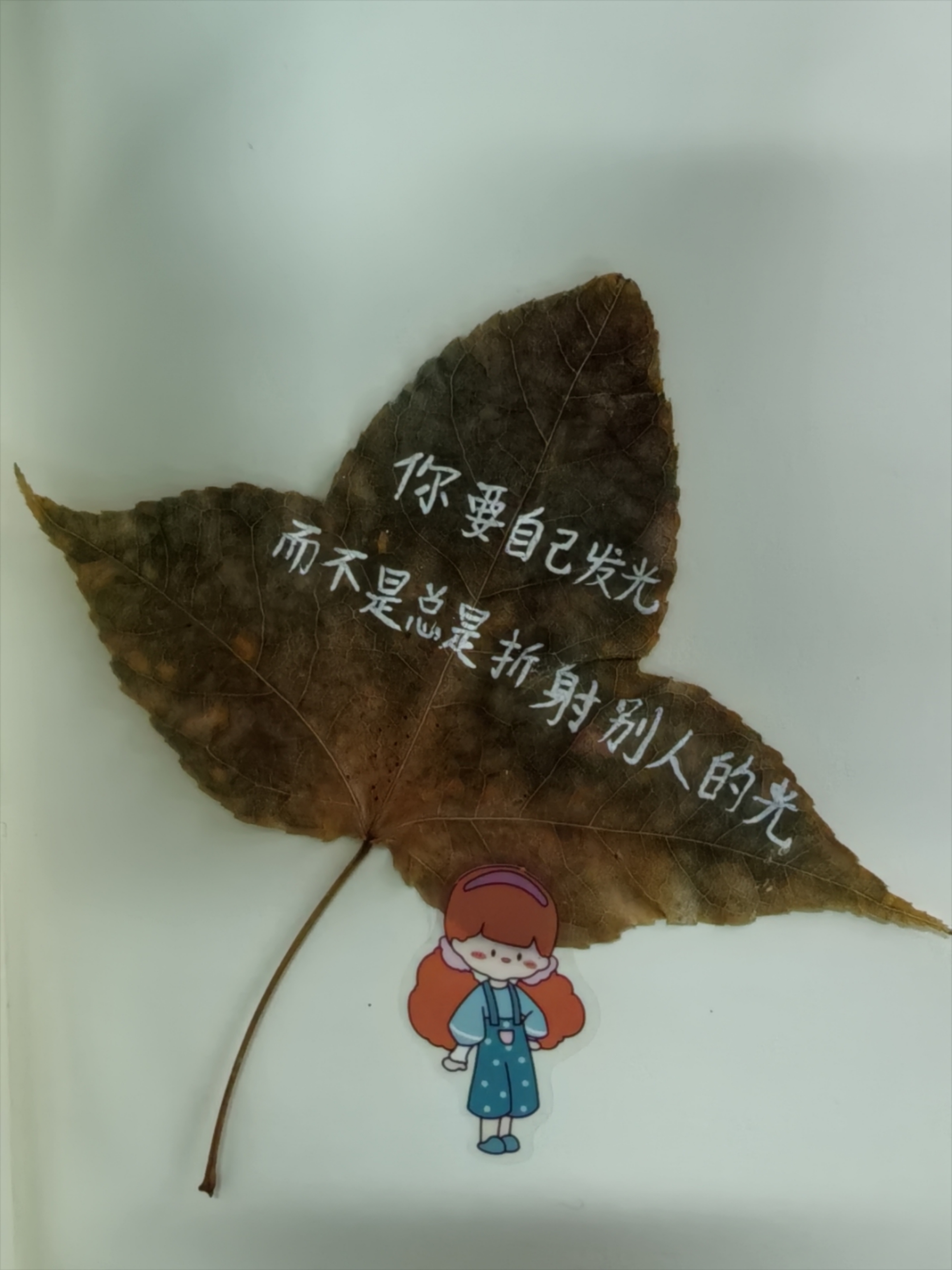 发自己的光，而不是总是折射别人的光。