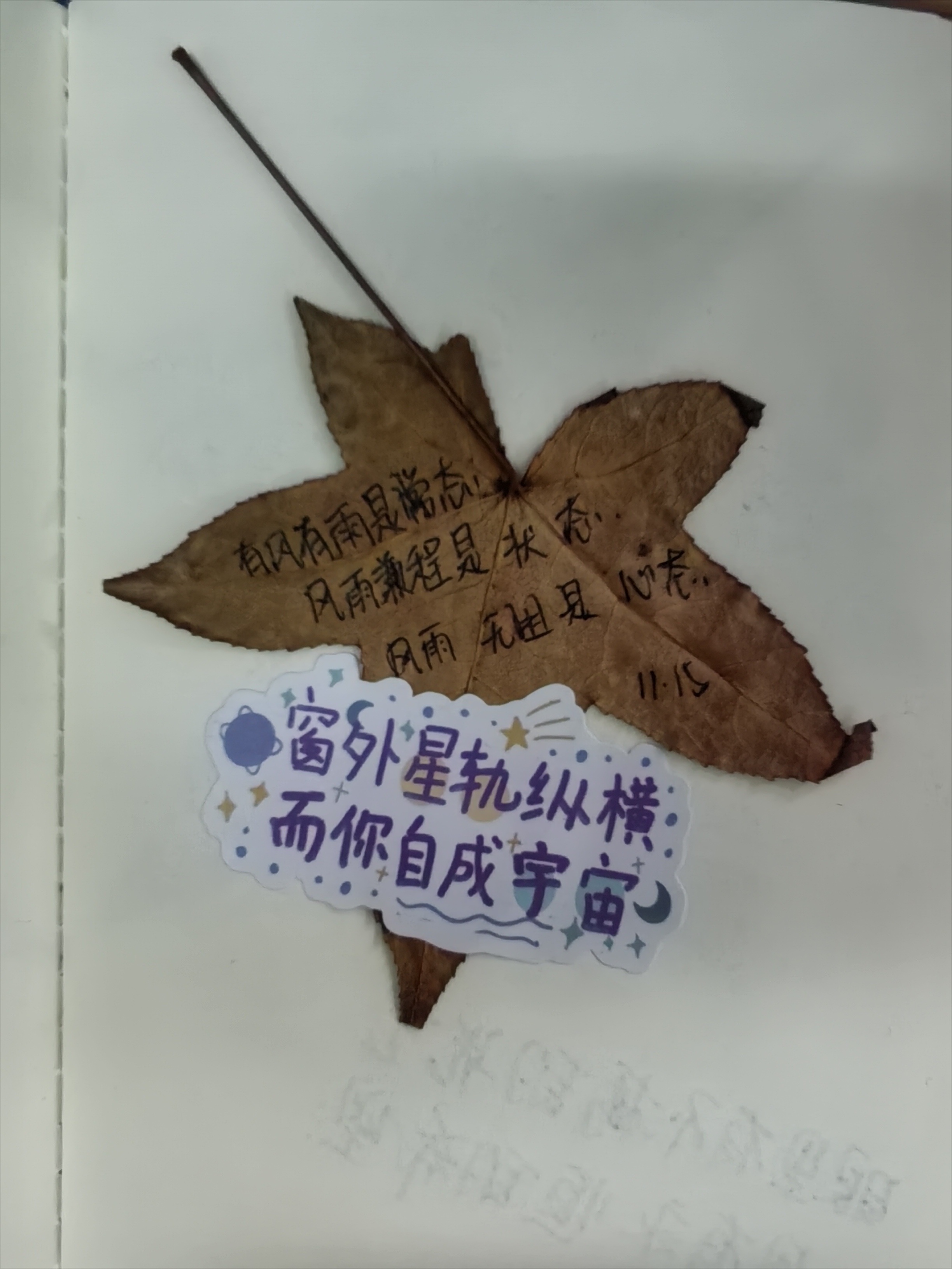 有风有雨是常态，风雨兼程是状态，风雨无阻是心态。