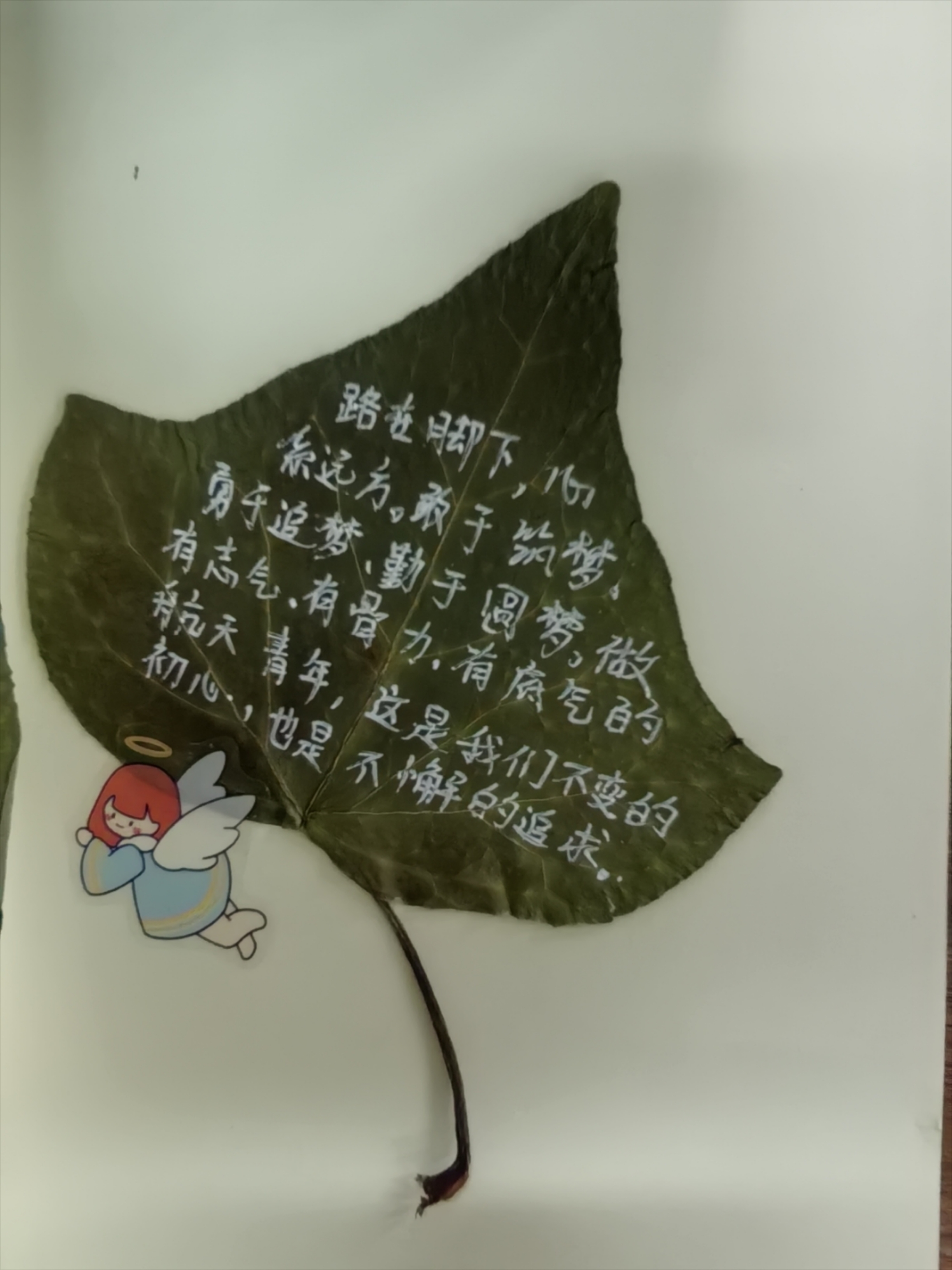 脚在路上，心系远方；初心不变，不懈追求。