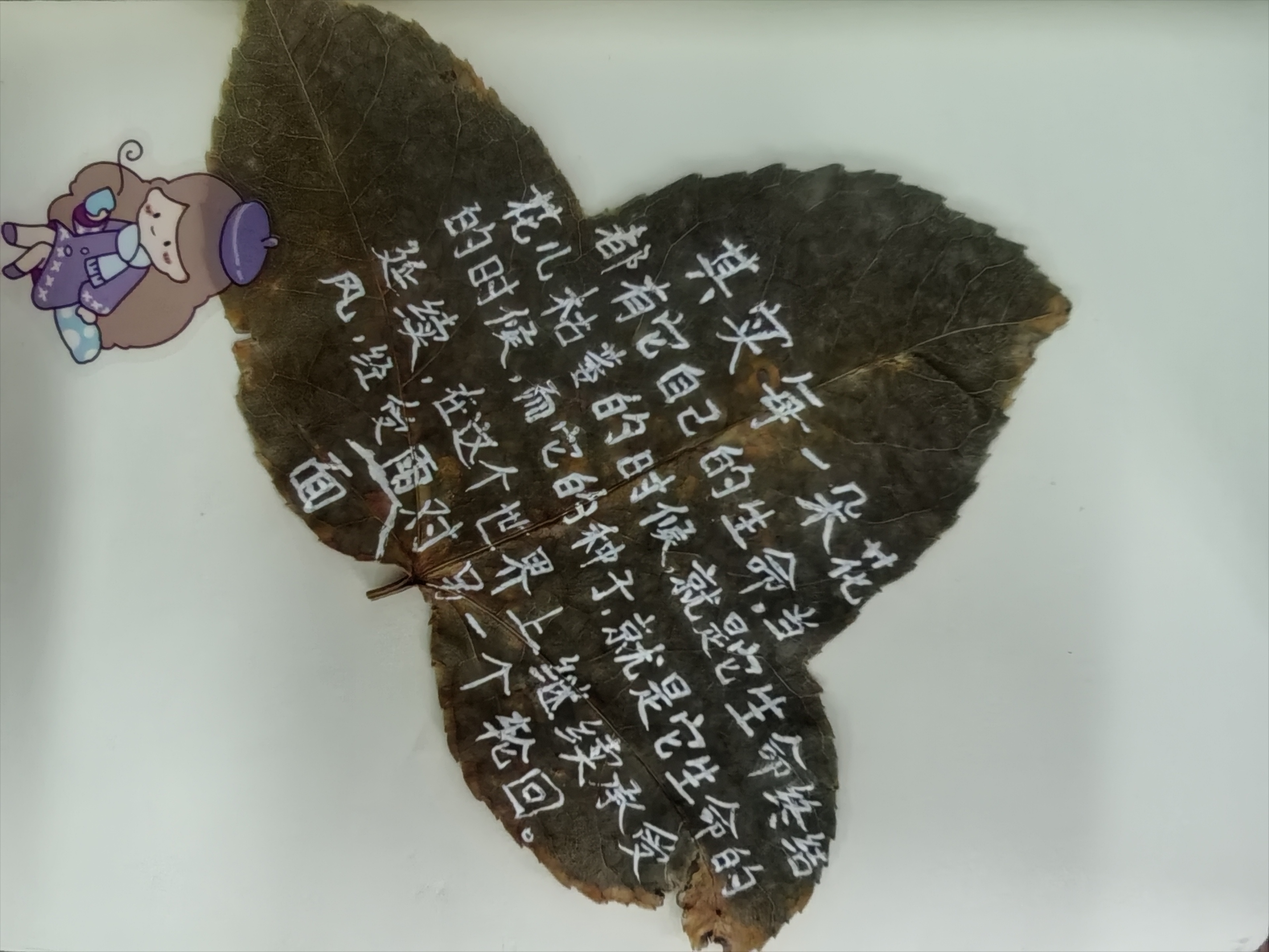 每一朵花都有它自己的生命，当花儿枯蒌时，它的生命便终结,而它是种子时,便是它生命的延续。——生命轮回