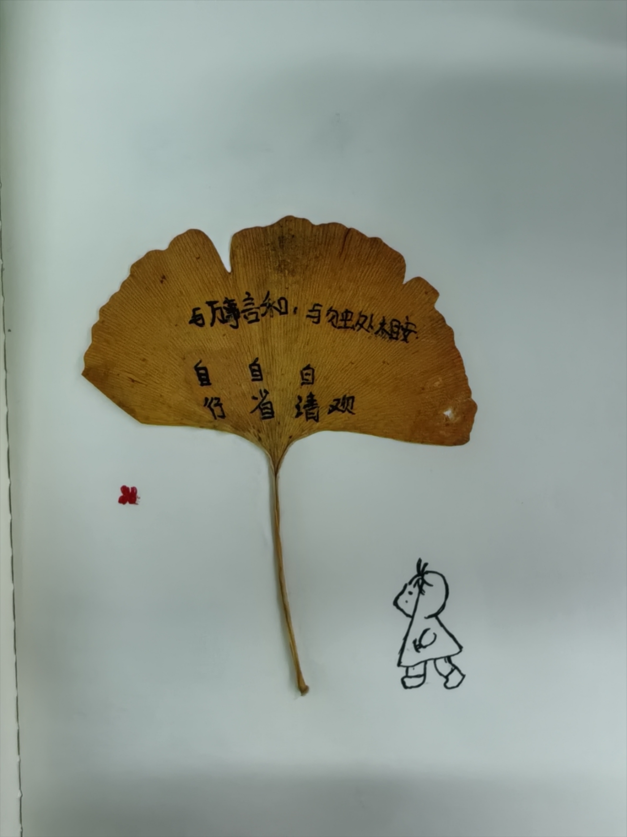 与万事言,与独处相安
自行
自省
白清欢。