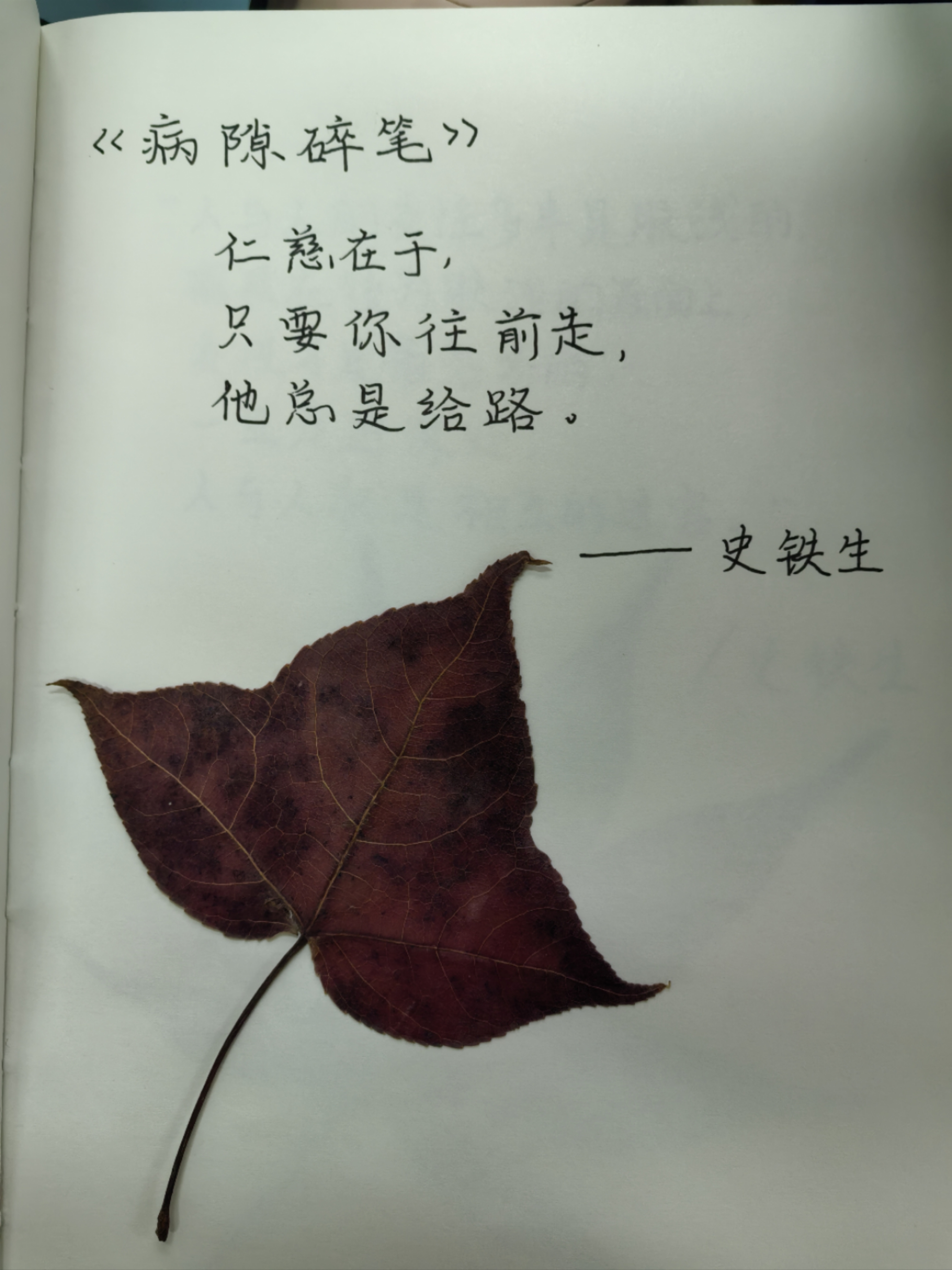 仁慈在于，
只要你往前走，
他总是给路。