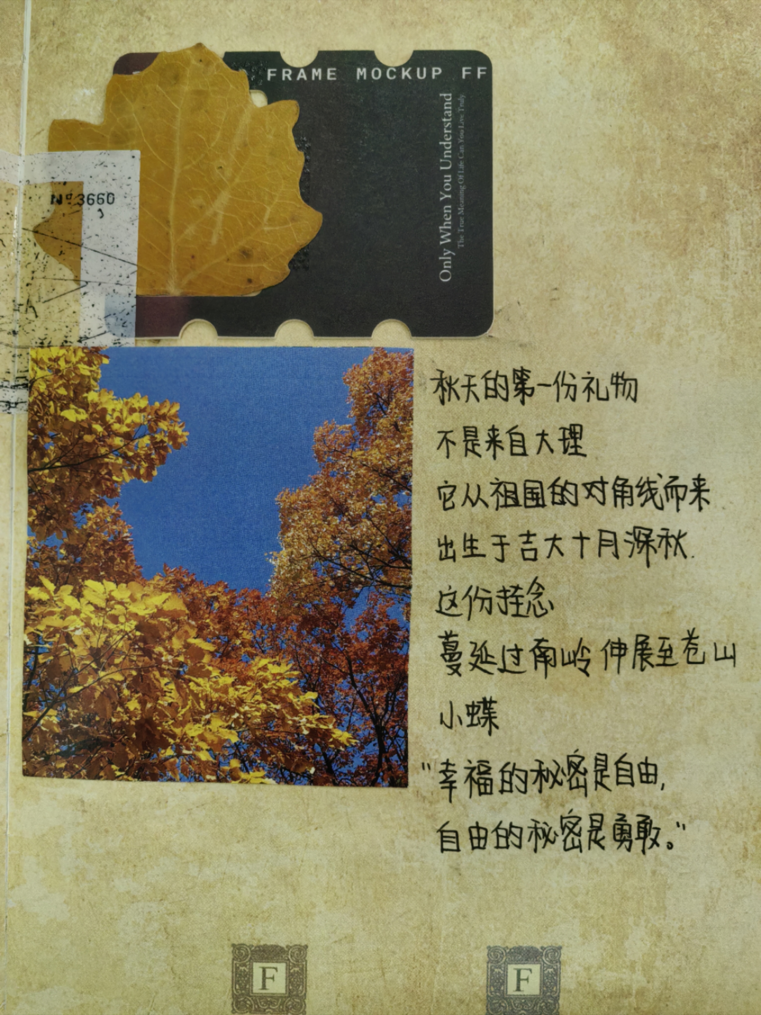 
幸福的秘密是自由,自由的秘密是勇敢。