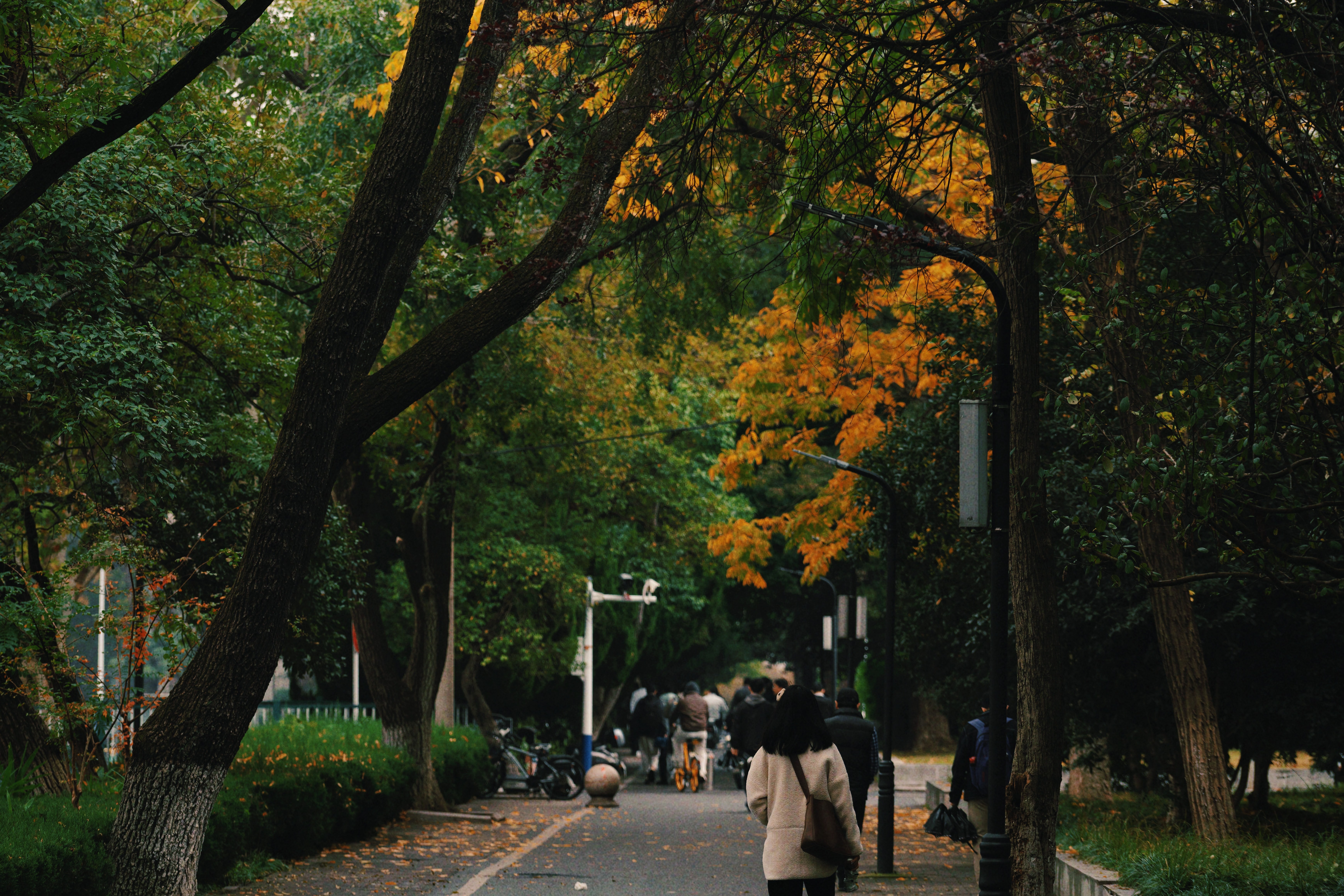 合肥工业大学校园剪影-王婧涵