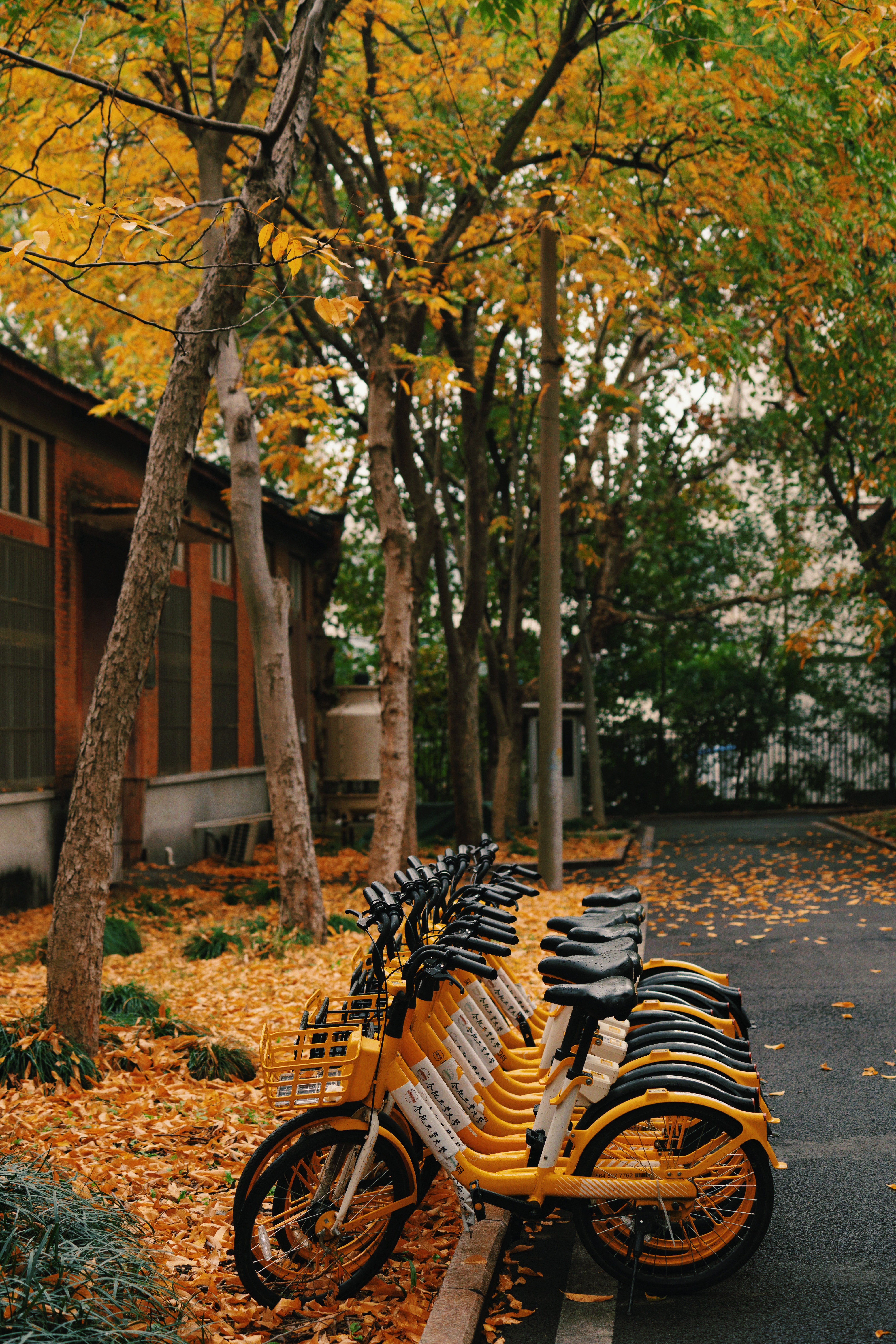 合肥工业大学校园剪影-王婧涵