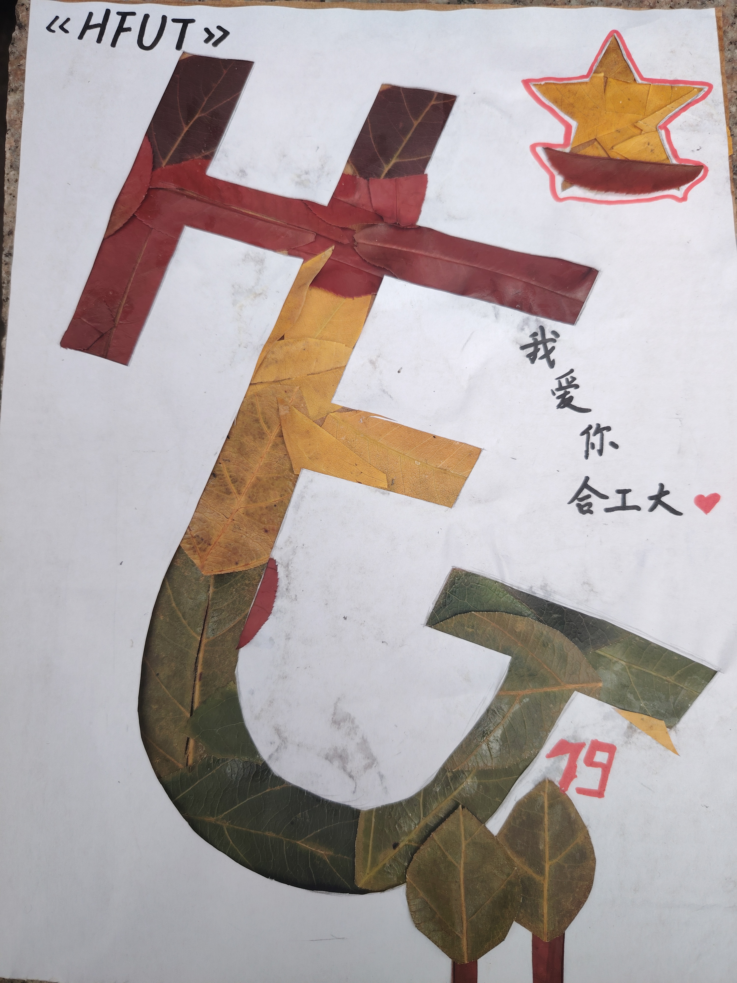 HFUT-孟瑜畅