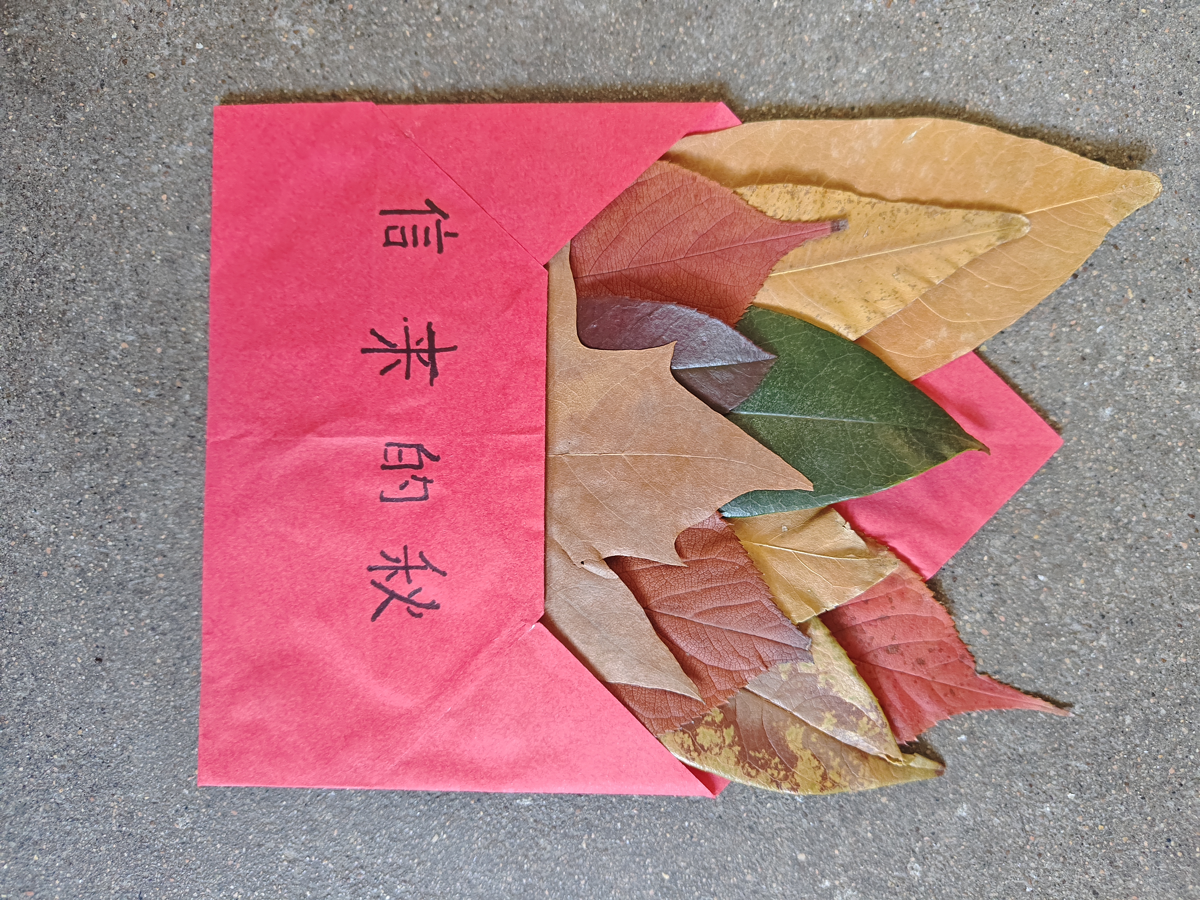 秋的来信-程聪会