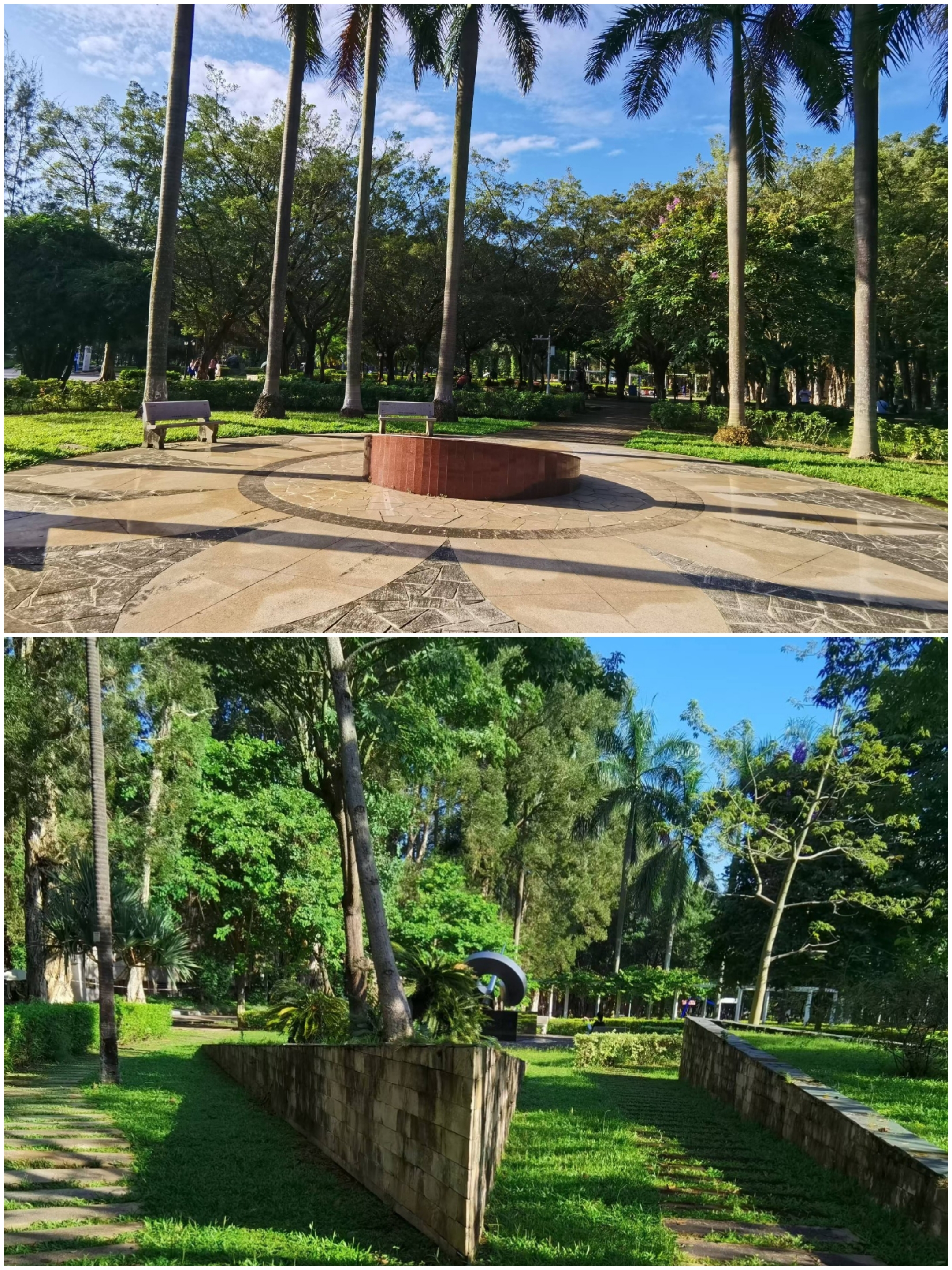 2.袁小雅《自然之美的乐园》高大的棕榈树洒下斑驳光影，盎然的小径蜿蜒校园，这里每一处都承载着广外学子的青春记忆。