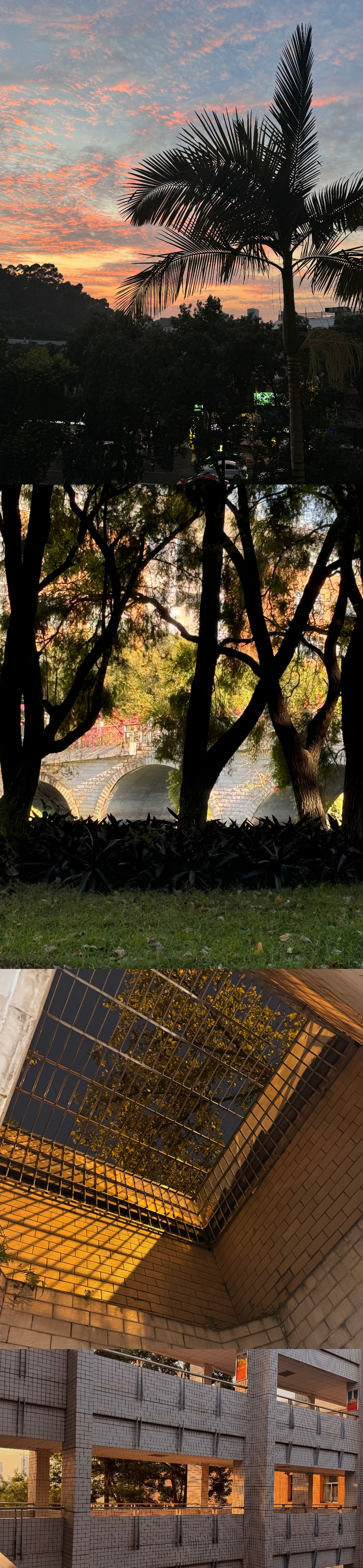 3.陈谱竹《无法预估价值的瞬间》人不能同时拥有青春和对它的感悟，所以我频繁记录着每个无法预估价值的瞬间，直到它成为回忆。