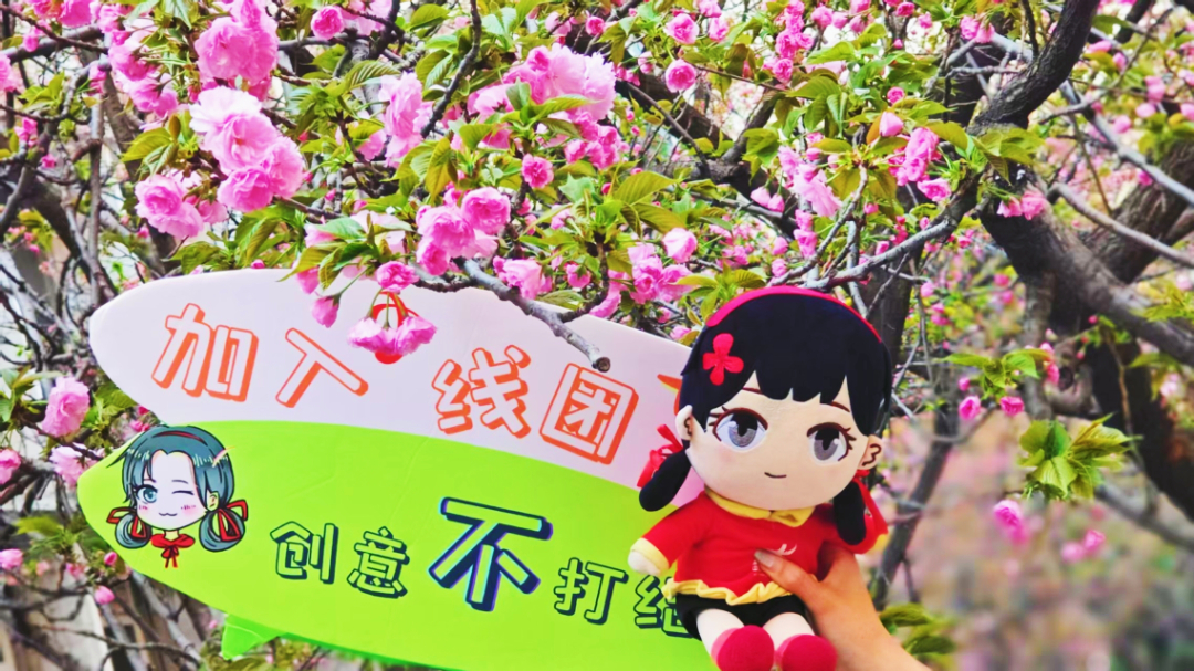 河南農業大學：小中妹妹與櫻花合影 圖片來源：肖雨彤