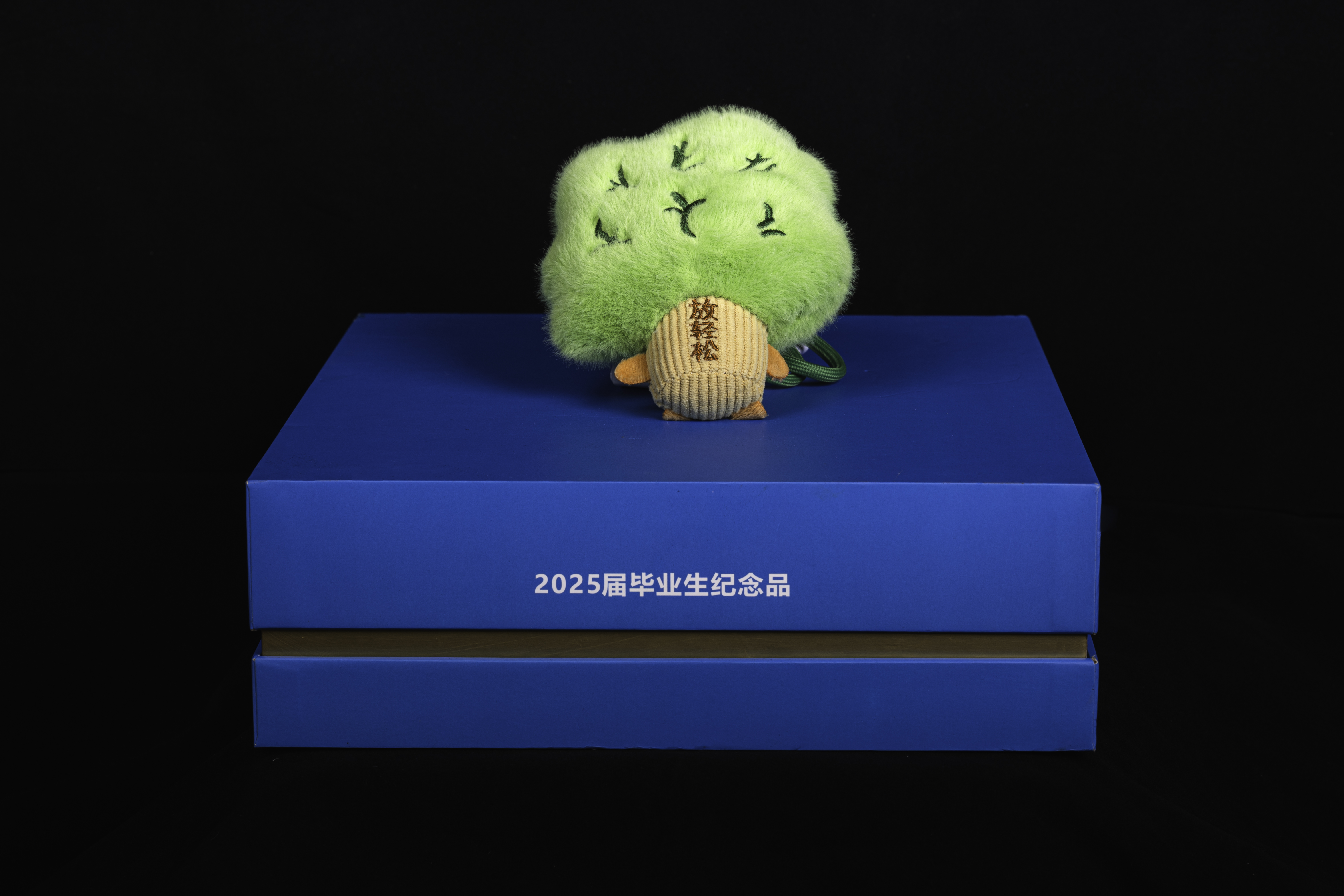 图片6