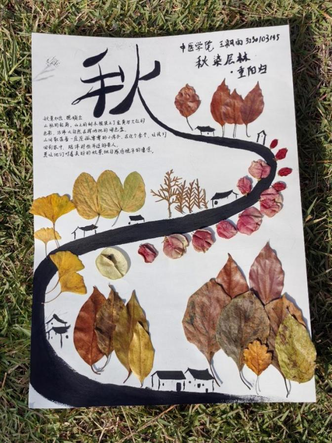 “重阳归”——炊烟轻起，每片落英都是催归的信笺，把乡思揉进这一路秋光