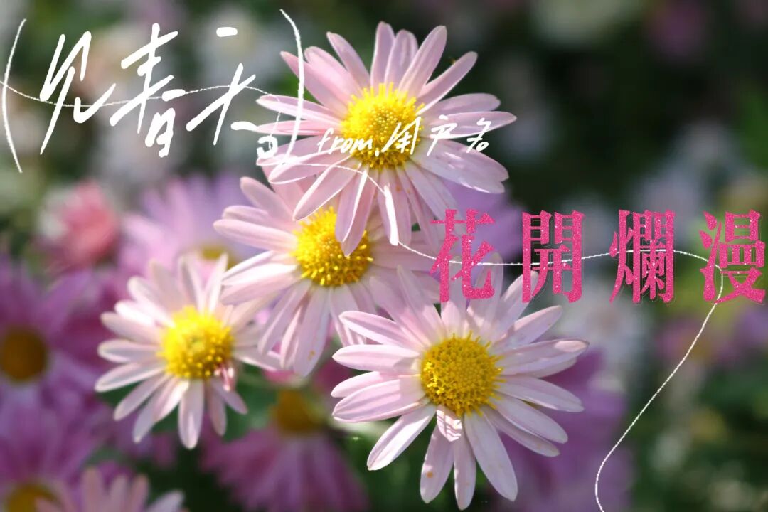 正文5.jpg