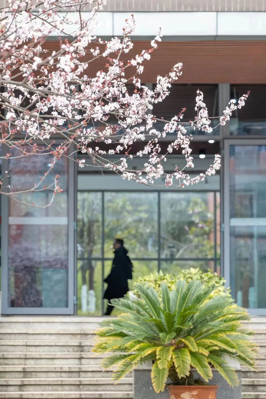 春天里,邀你一起上春山~ - 贵州大学 - 中国大学生在线