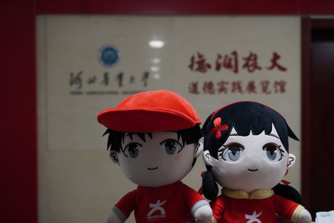 dc534fe91d5ed75c81f2bef1d062b5e.jpg