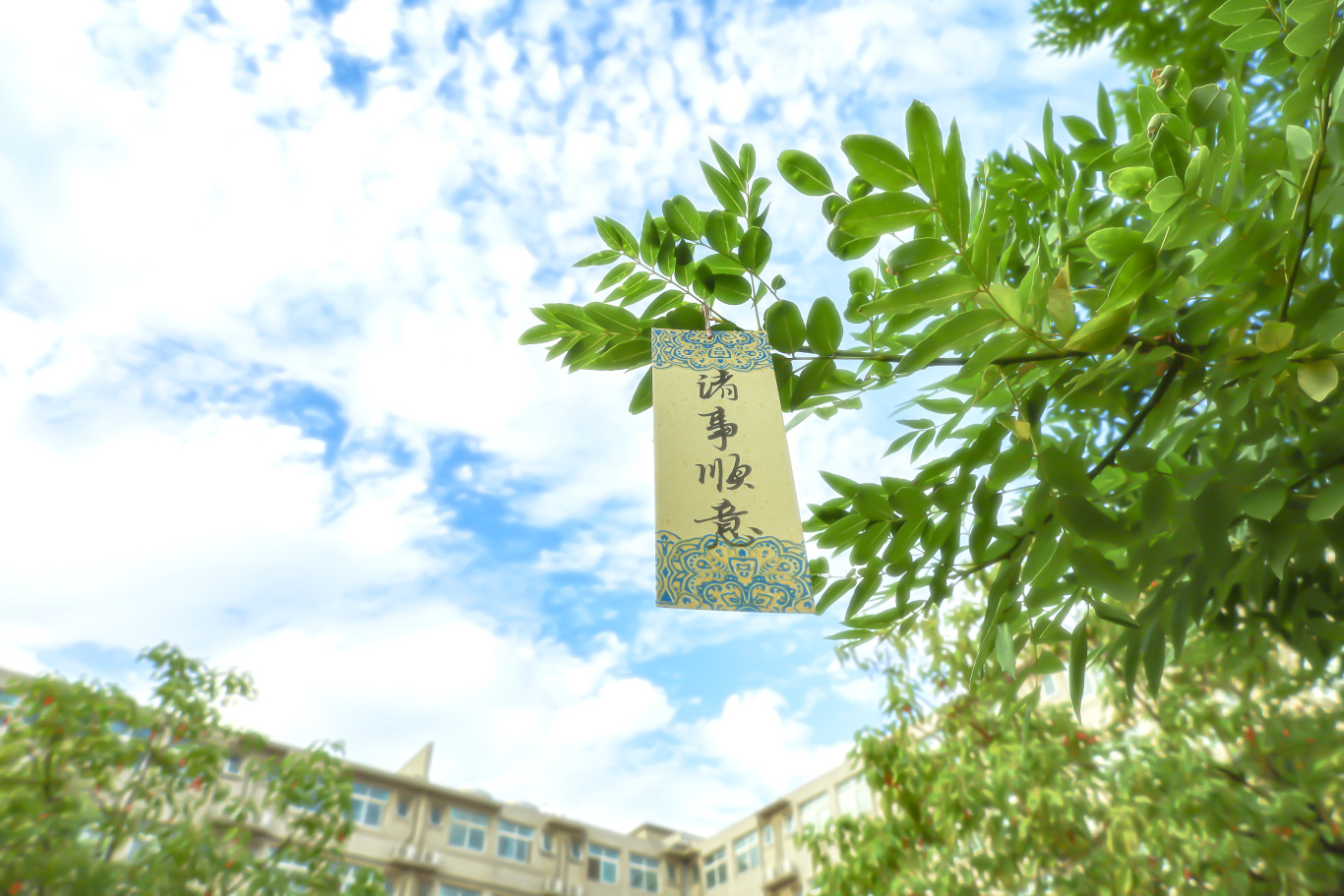 微信图片_2025-07-21_172823_902.jpg