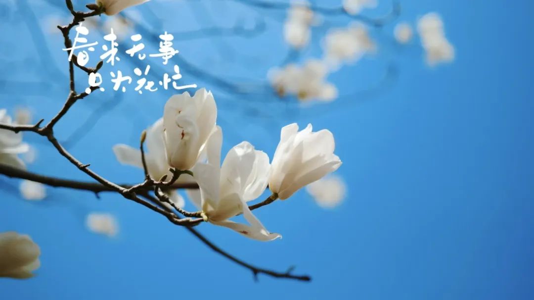 微信图片_20250513200854.jpg