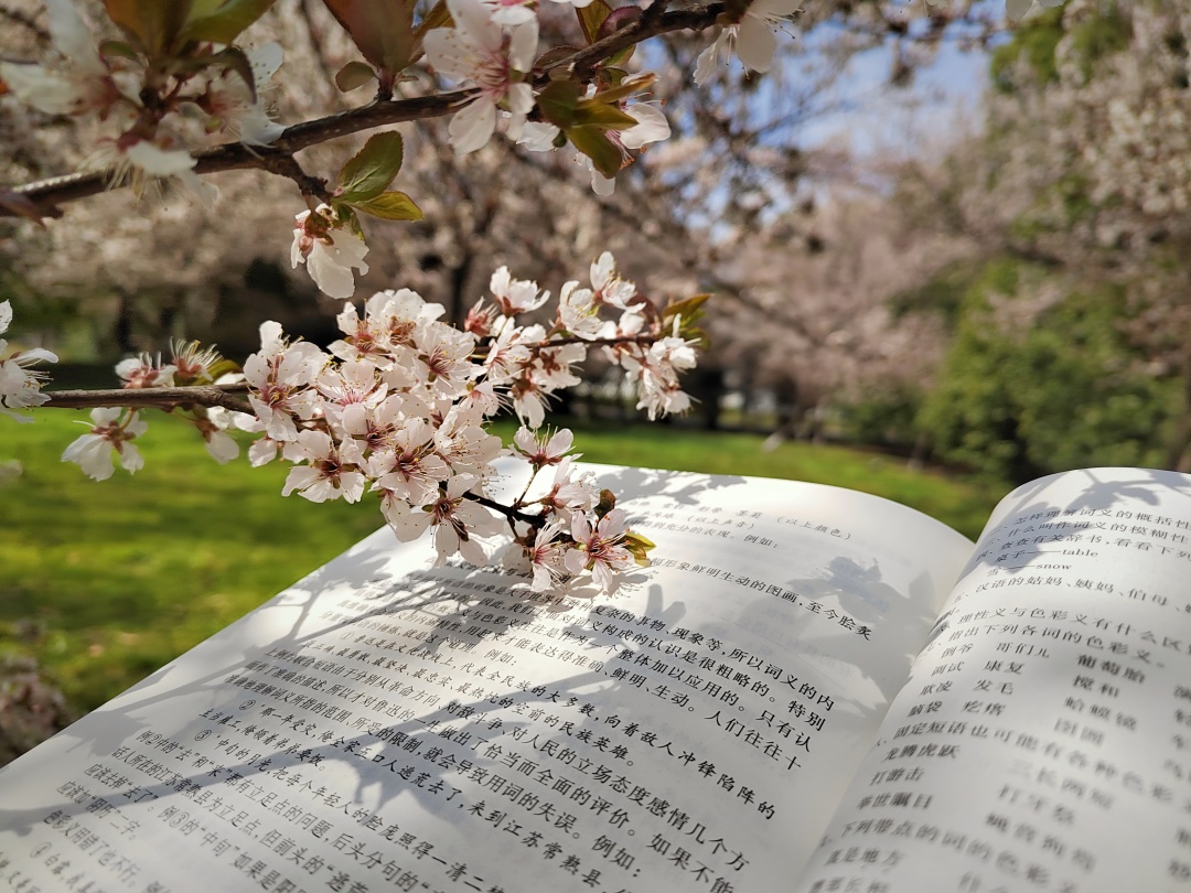 蘇州科技大學黨委宣傳部文案|吳鋮瑩 黃奕瑤圖片| 張雨萌 溫馨怡 程