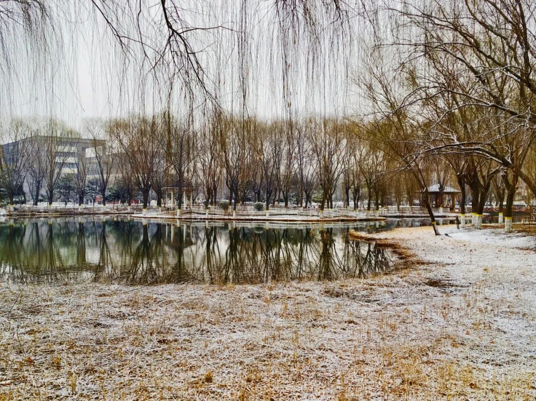 雪景 (16).jpg
