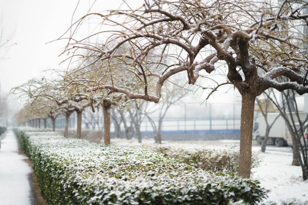 雪景 (19).jpg