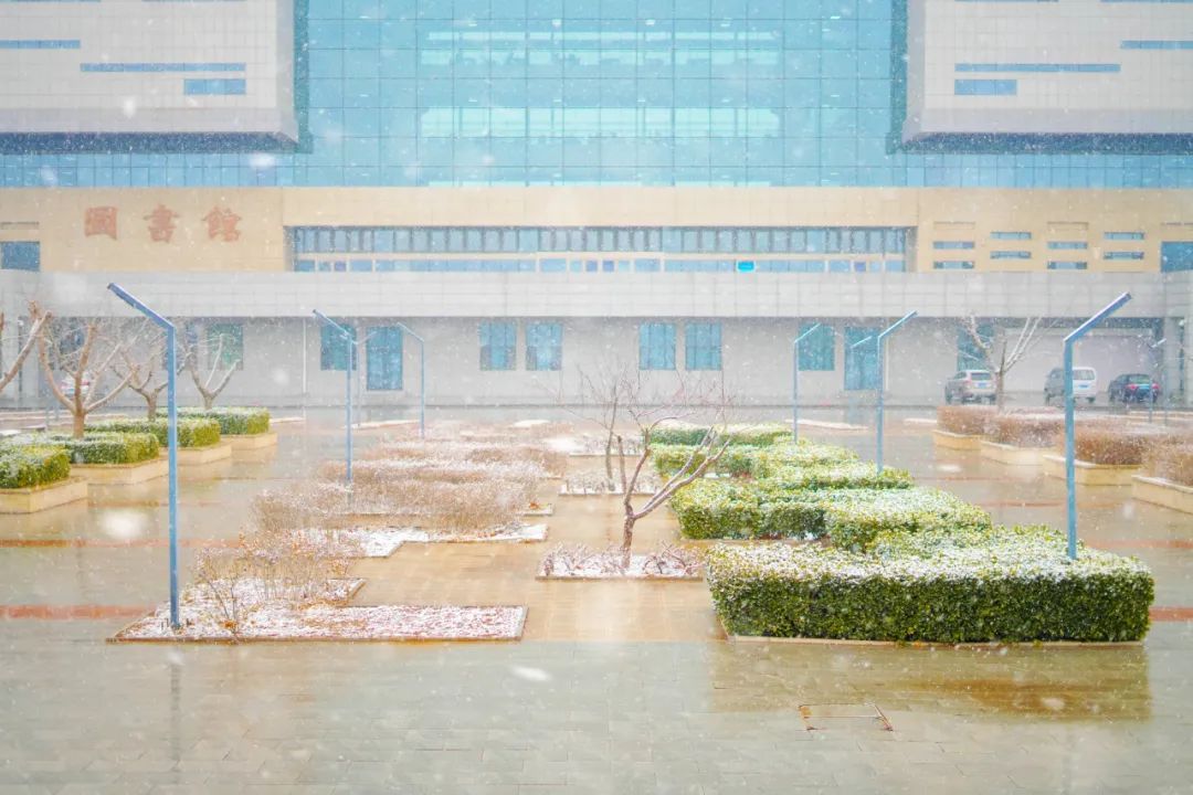 雪景 (21).jpg