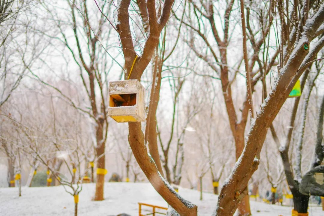 雪景 (24).jpg