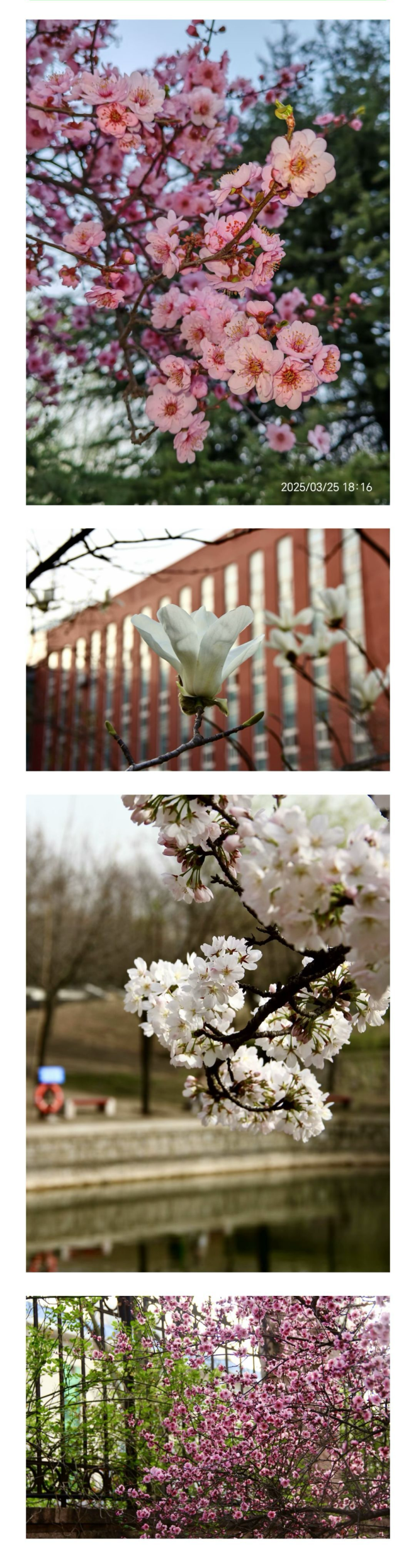 IMG_20250501_180935.png