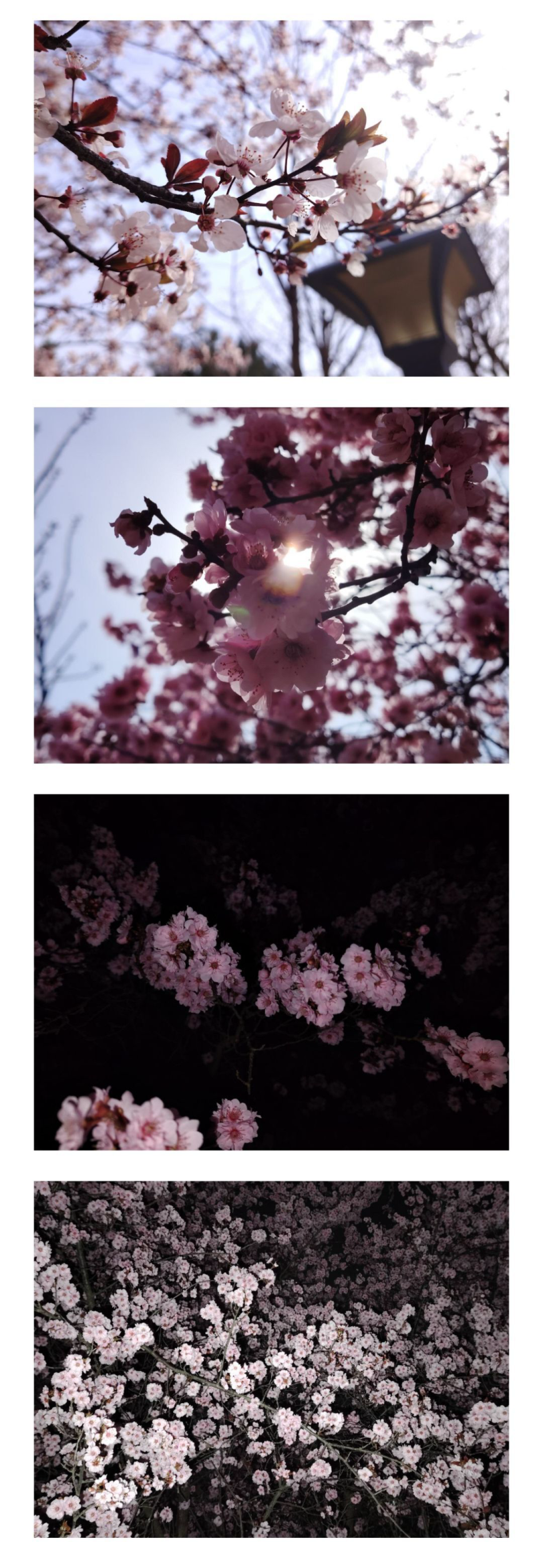IMG_20250501_175850.png