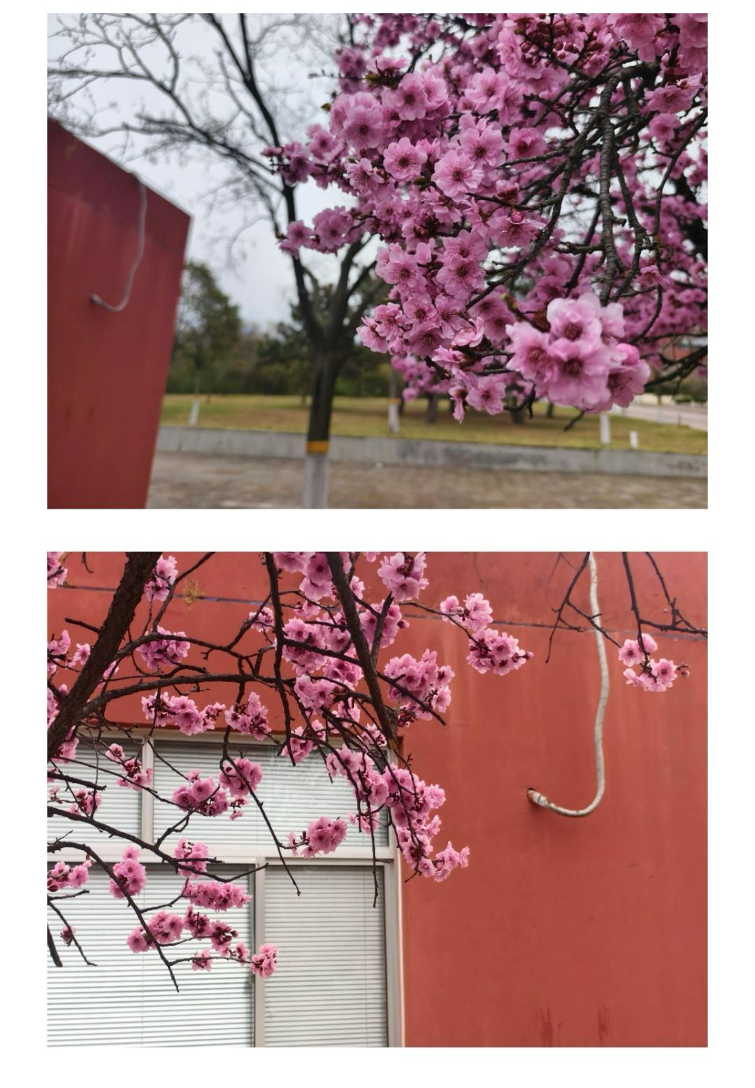 IMG_20250501_181104.png