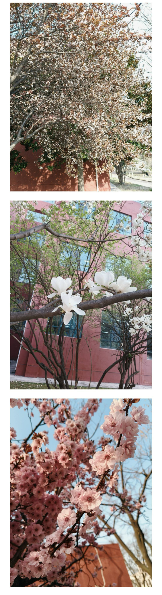 IMG_20250501_181207.png