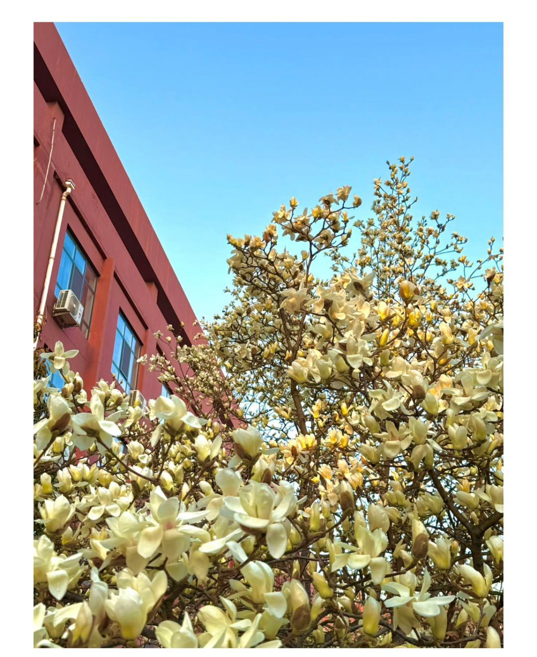IMG_20250501_174538.png