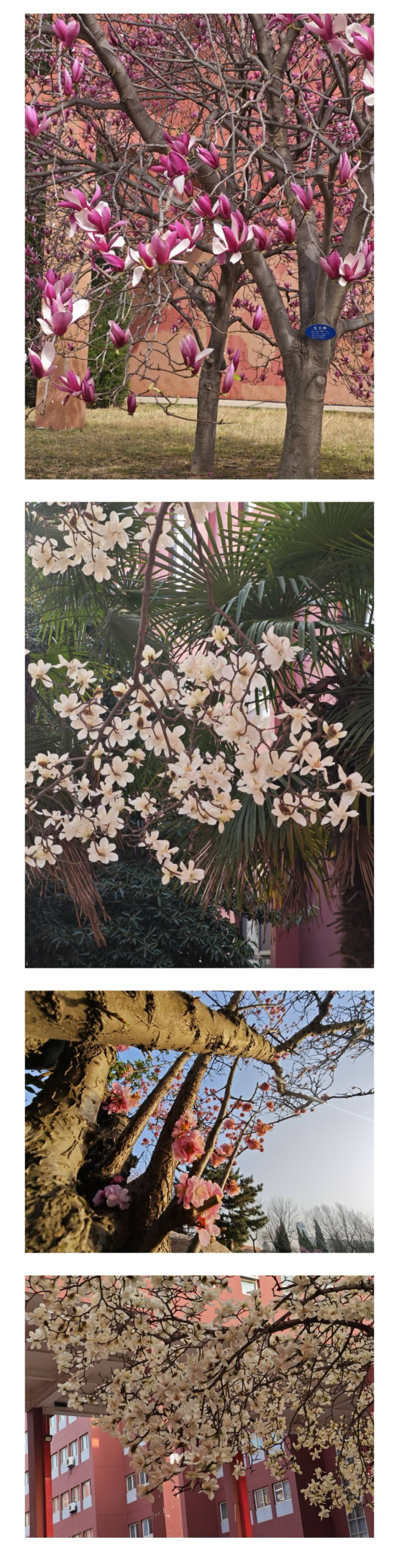 IMG_20250501_180118.png