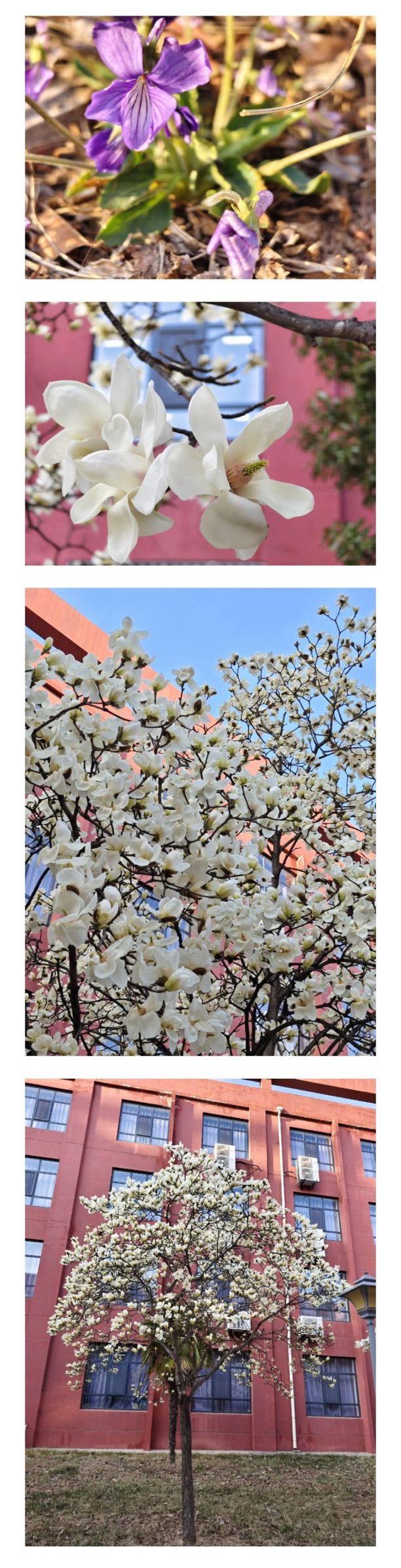 IMG_20250501_181357.png
