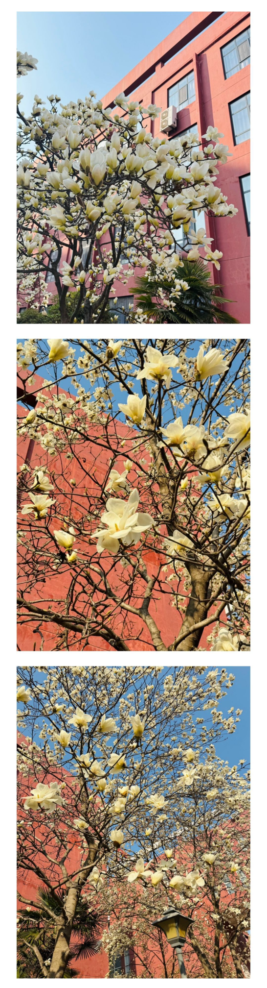 IMG_20250501_180220.png