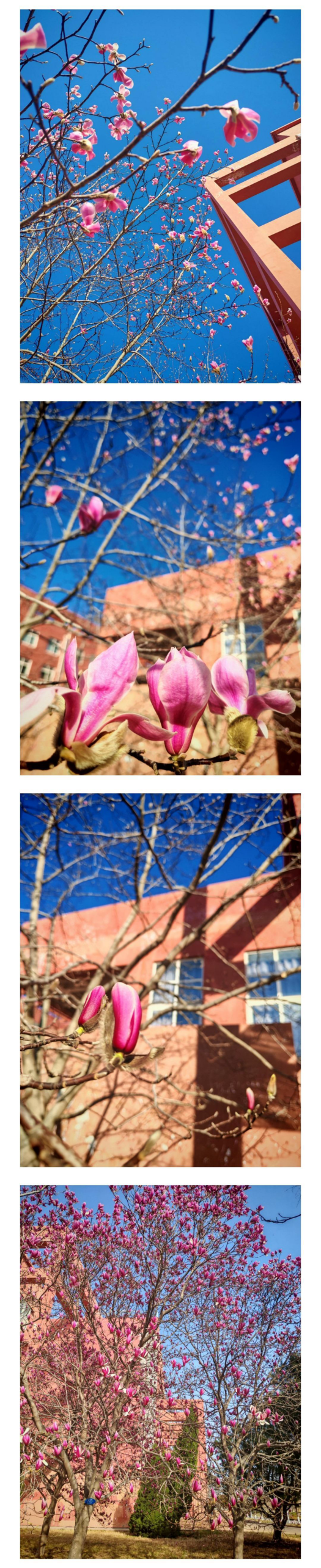 IMG_20250501_175542.png