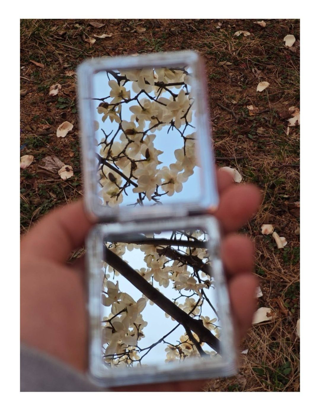 IMG_20250501_180044.png