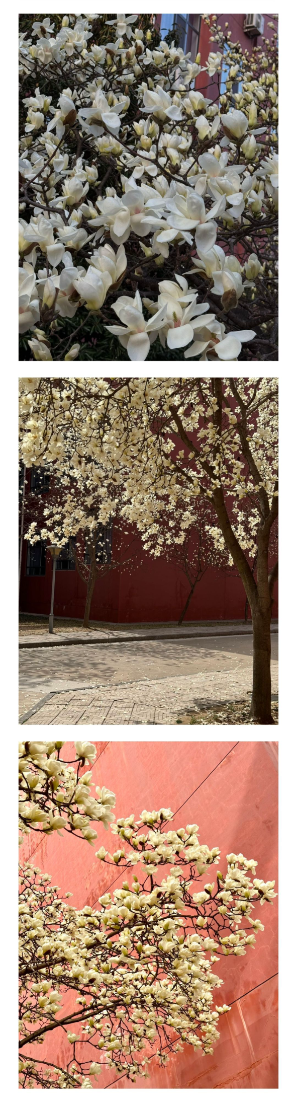 IMG_20250501_174558.png