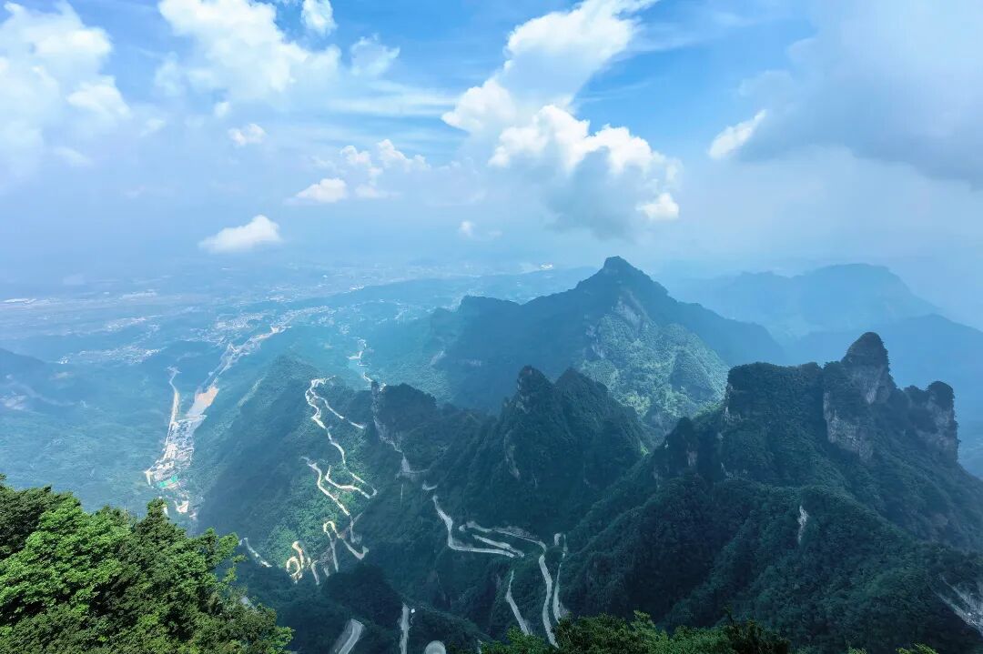 张姝阳 (1).jpg