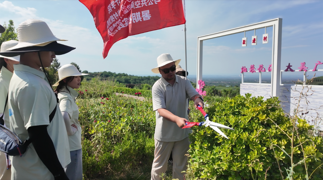 图5带队老师现场开展绿植修剪实操教学，优化绿化景观风貌.png