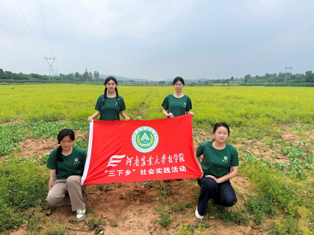 微信图片_20260802213737_102_1.png