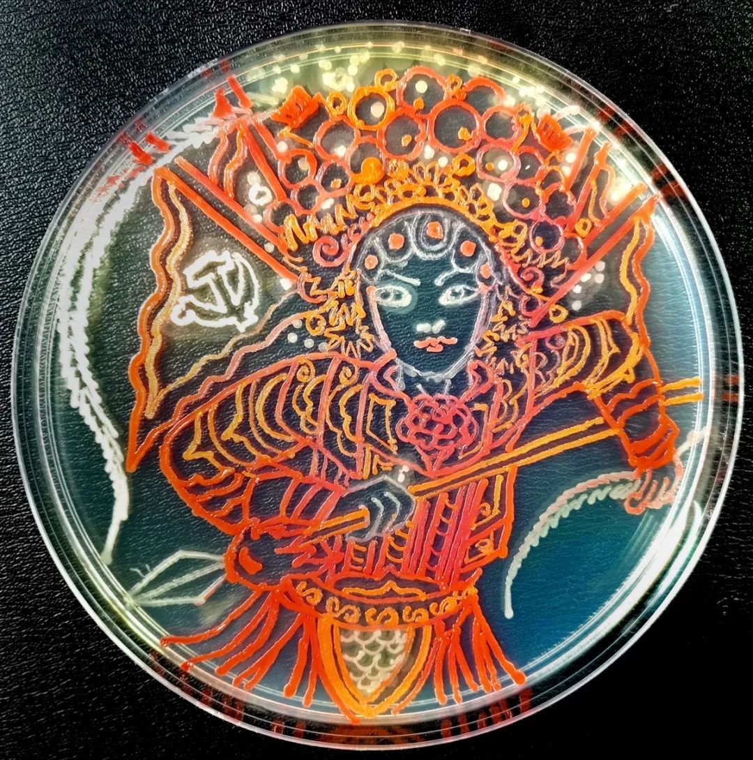 图片