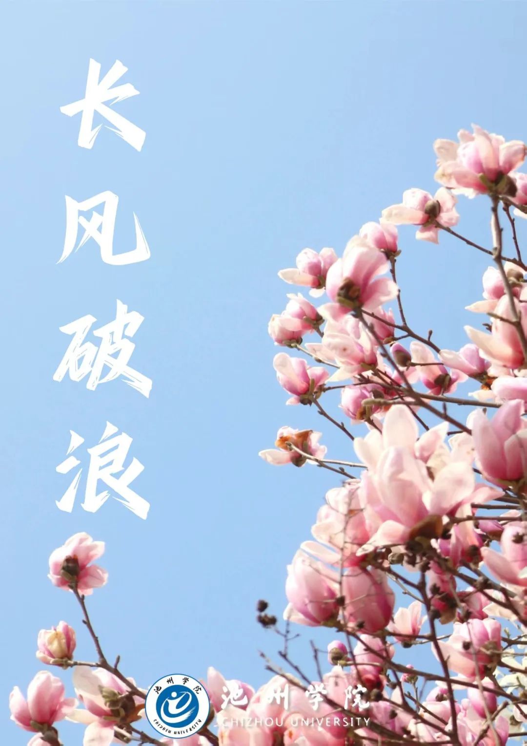 5e2e9f8786f4ce3fe49a70eced62dab.jpg