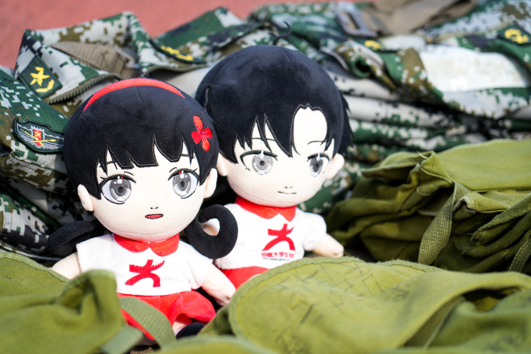 DSC08554.jpg