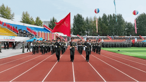 DJI_0608.GIF