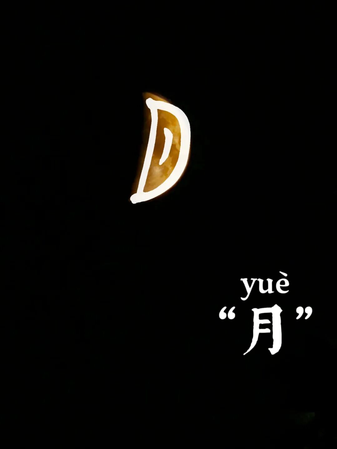 微信图片_2026-04-19_194809_636.jpg