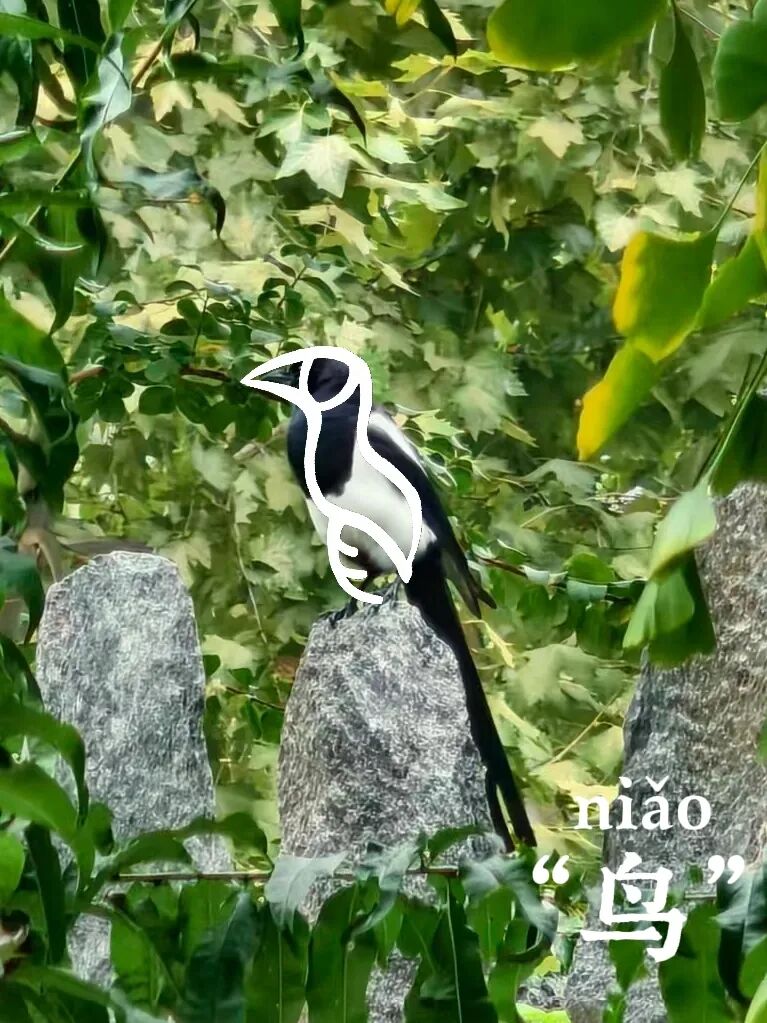微信图片_2026-04-20_101605_916.jpg