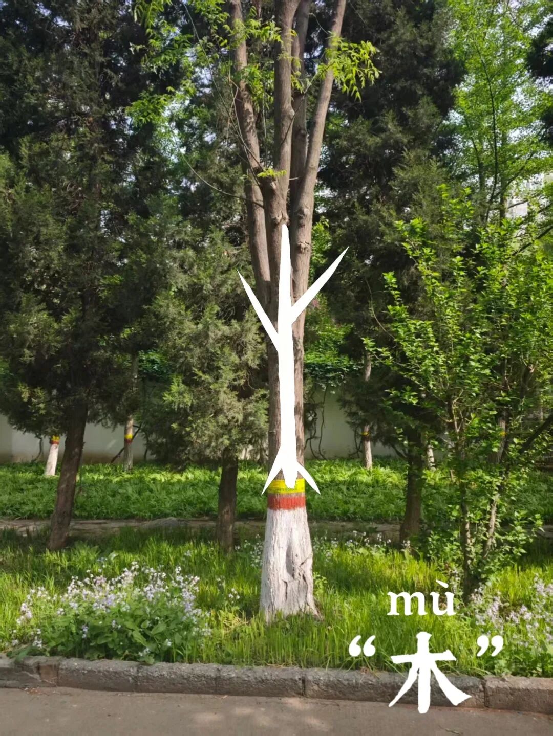 微信图片_2026-04-19_194745_588.jpg