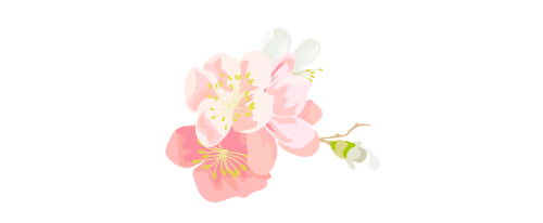 未命名的设计 (17).png