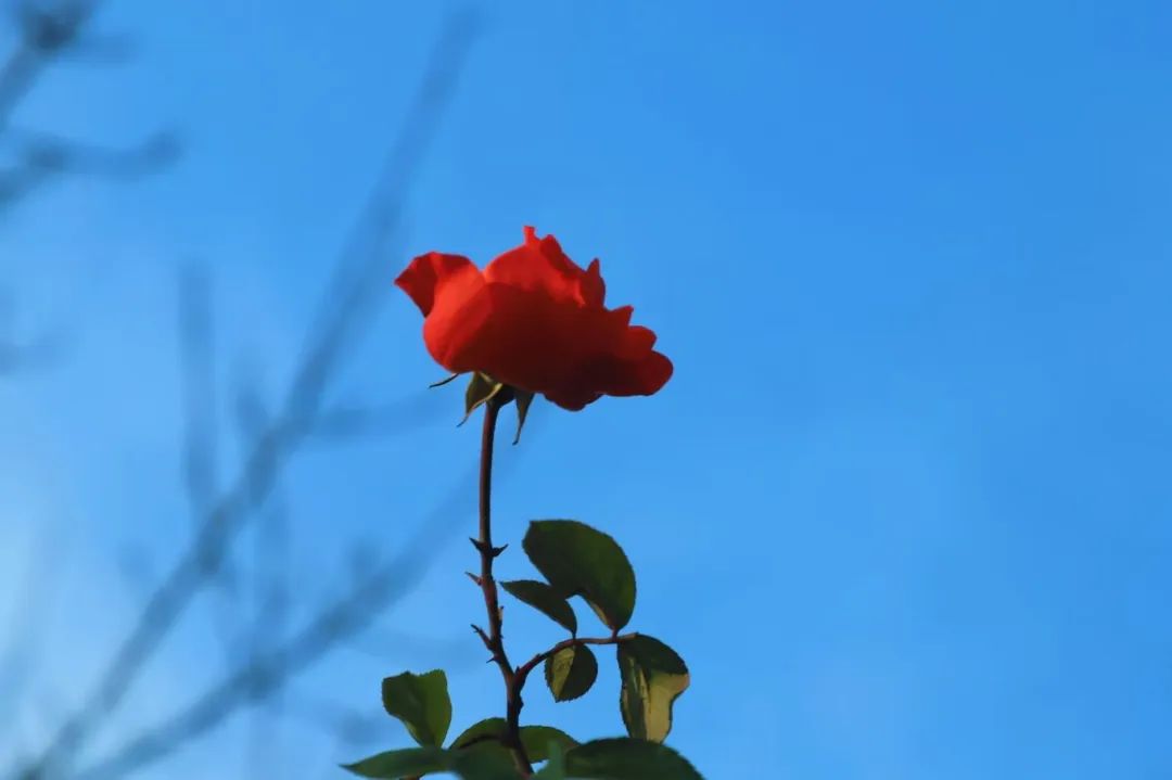 2c34fe473e25a3e321abb8720618605.jpg