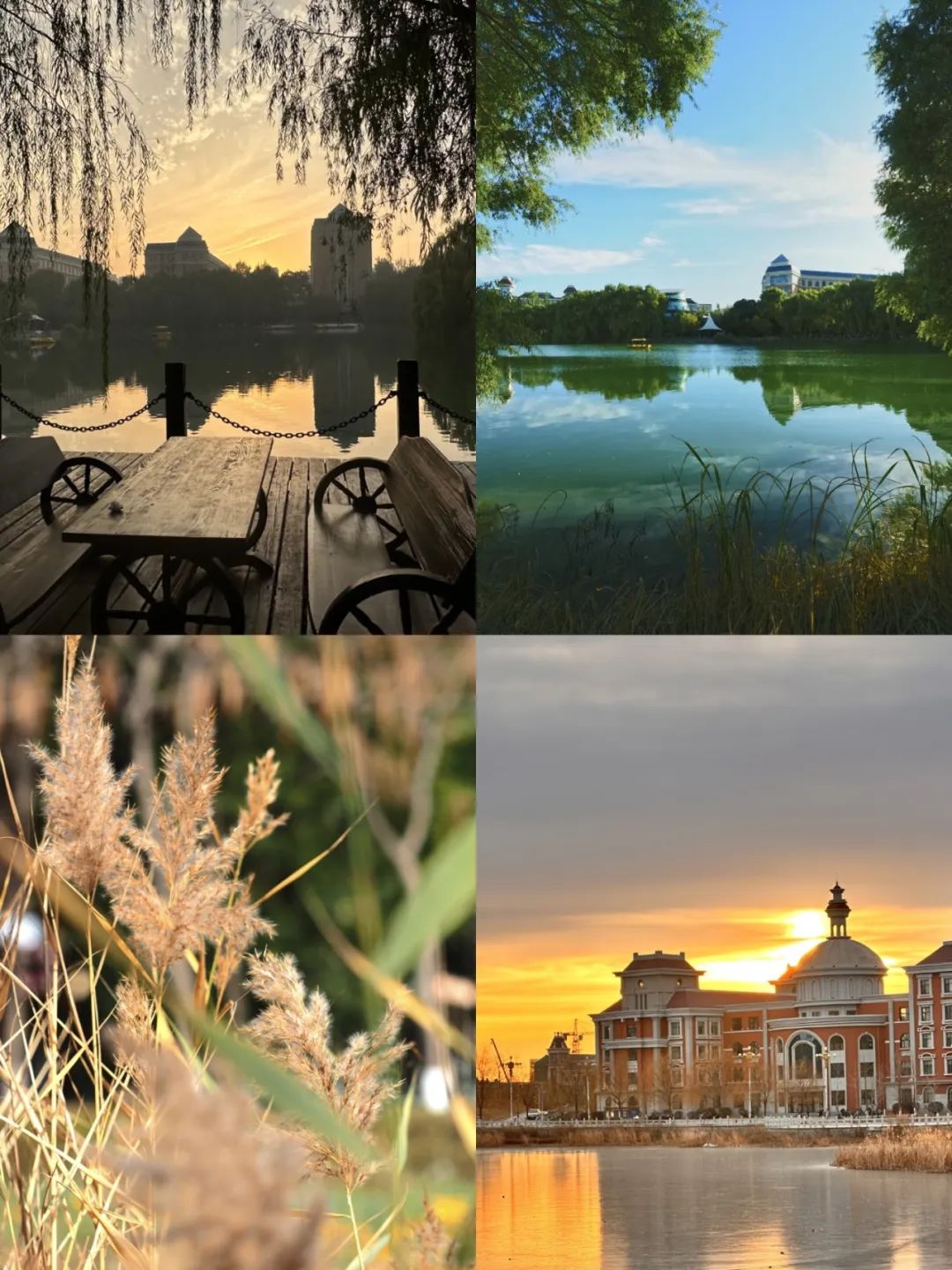 渤海大学来查看你与bhu的独家回忆